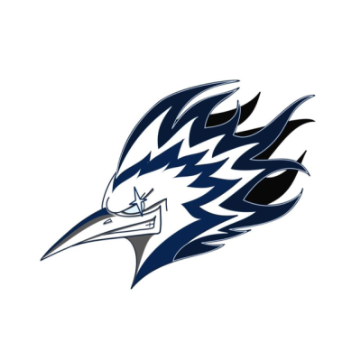 LYON ROLLER HOCKEY
